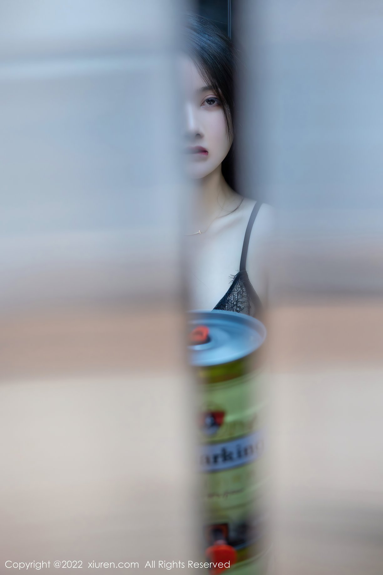 XiuRen秀人网 No.4513 summer宝宝 0056